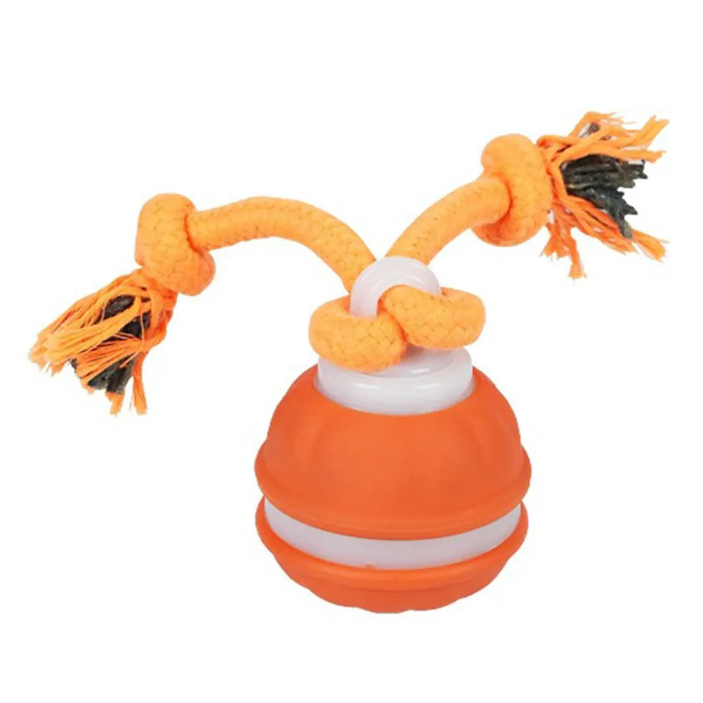 Smart Interactive Ball for Dogs & Cats