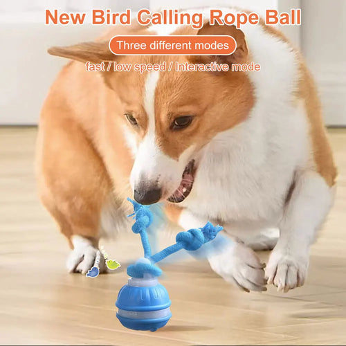 Smart Interactive Ball for Dogs & Cats