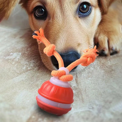 Smart Interactive Ball for Dogs & Cats