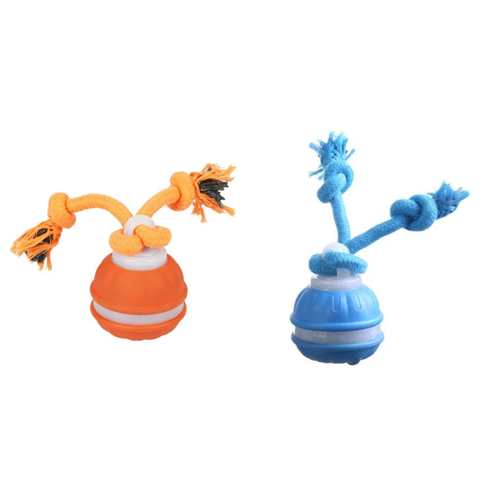 Smart Interactive Ball for Dogs & Cats
