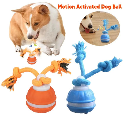 Smart Interactive Ball for Dogs & Cats