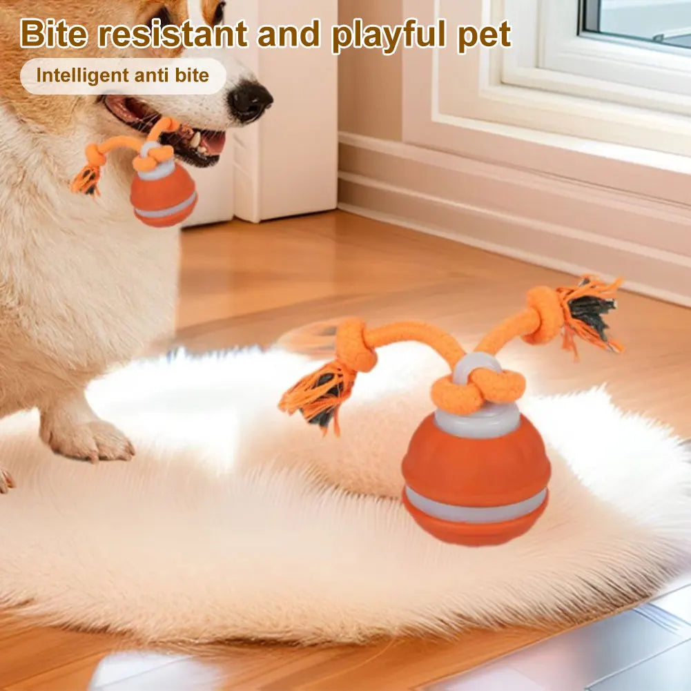 Smart Interactive Ball for Dogs & Cats